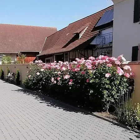 شقة Dreilaendereck-ferienwohnung In *